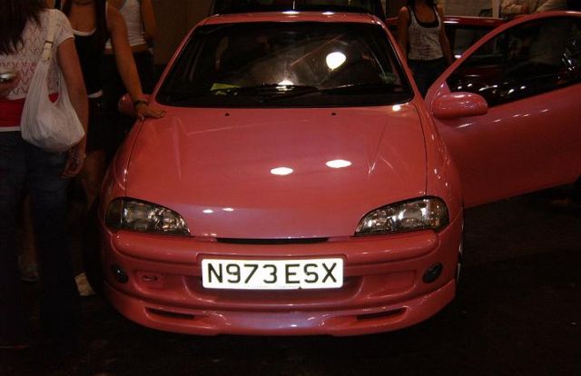 tigra