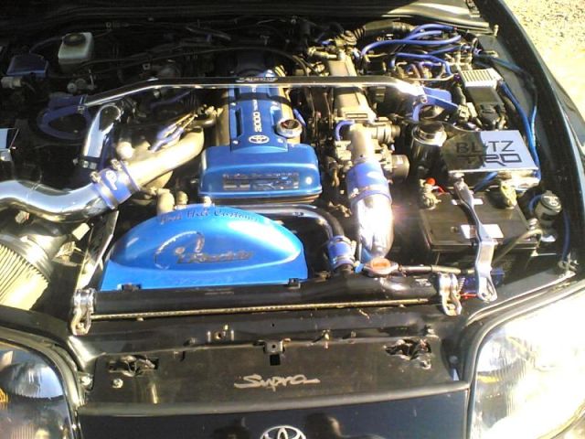 MN2006