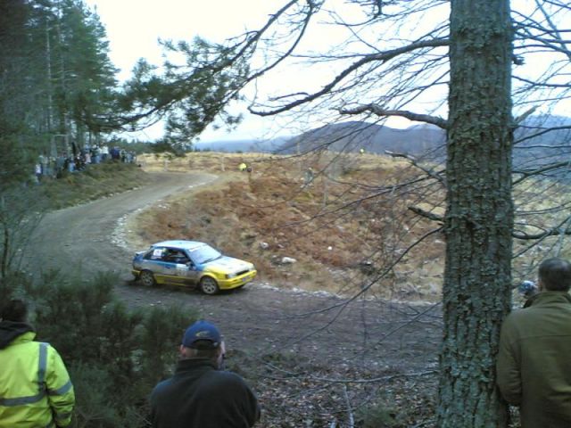 Car 41