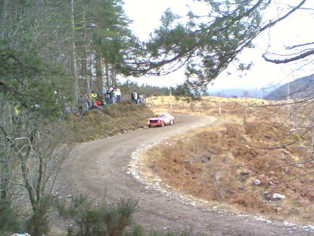 Car 25