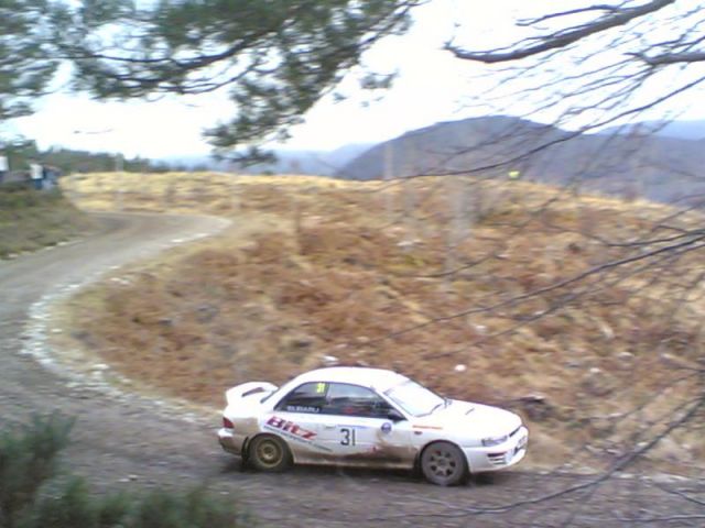 Car 31