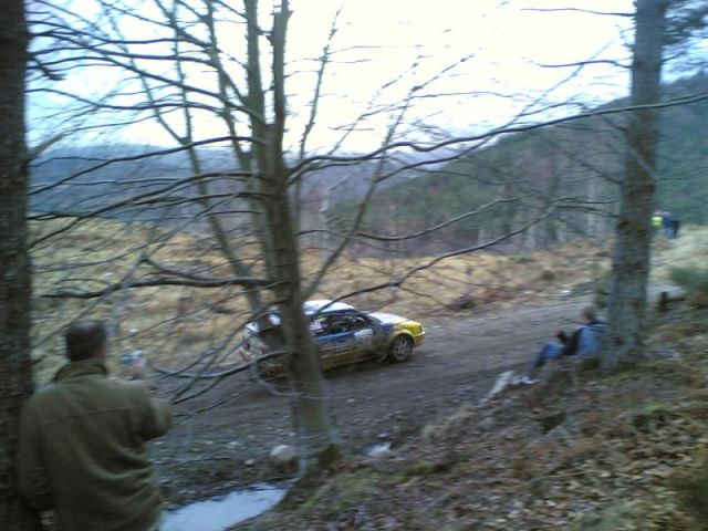 Car 41
