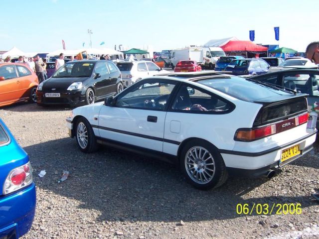 MN2006