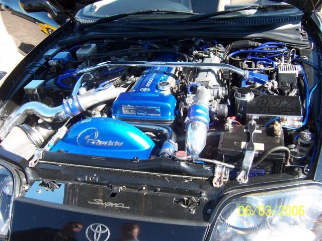 MN2006