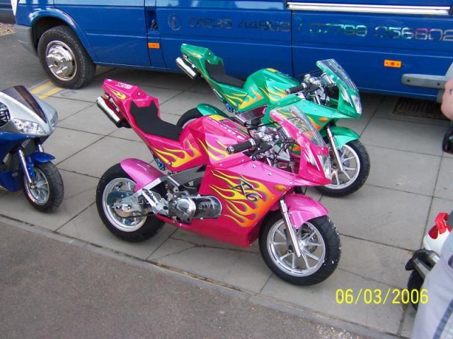 MN2006