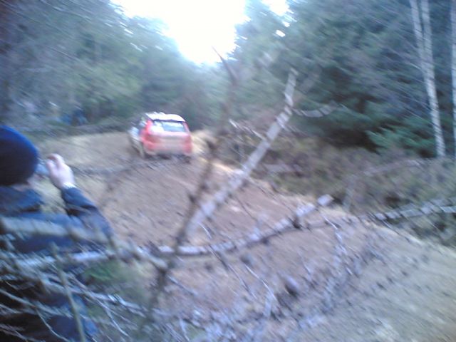 32 Ford Fiesta
