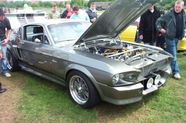 Mustang