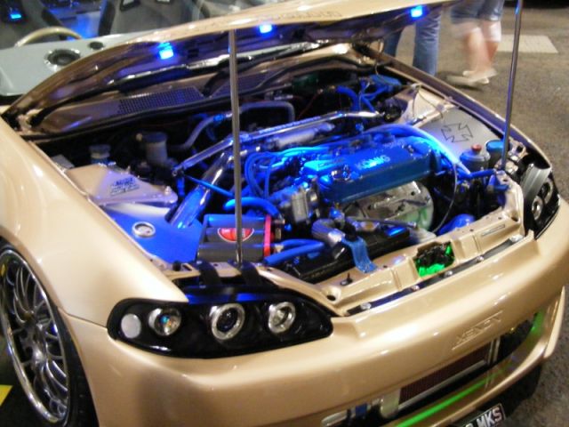 F&M Show 07