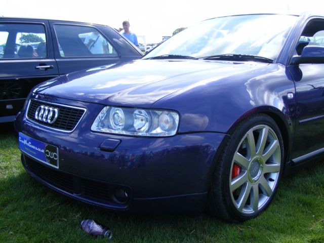 F&M show 07