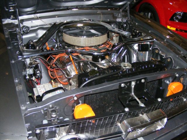 F & M Show 07