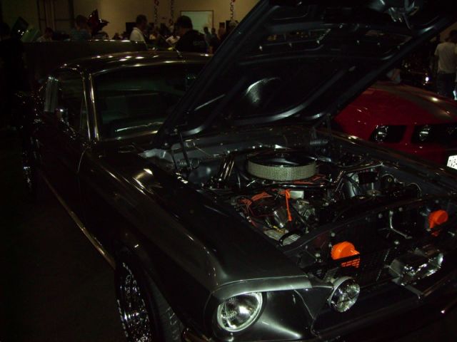 more f & m pics