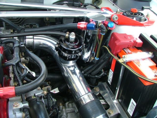 show n shine