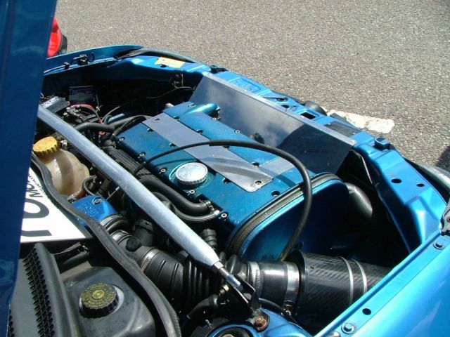 show n shine