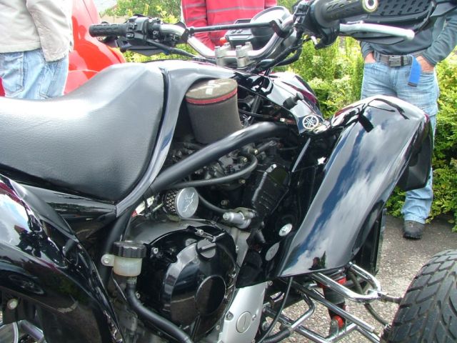 show n shine