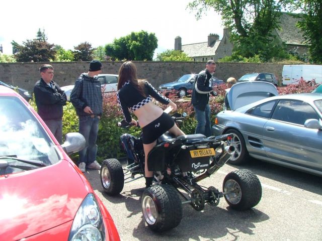 show n shine