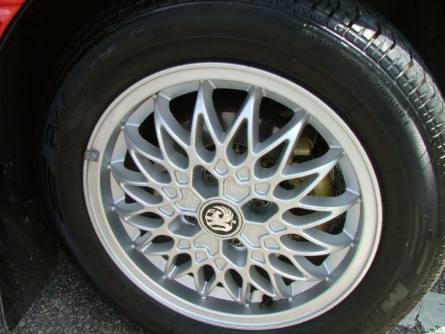 show n shine
