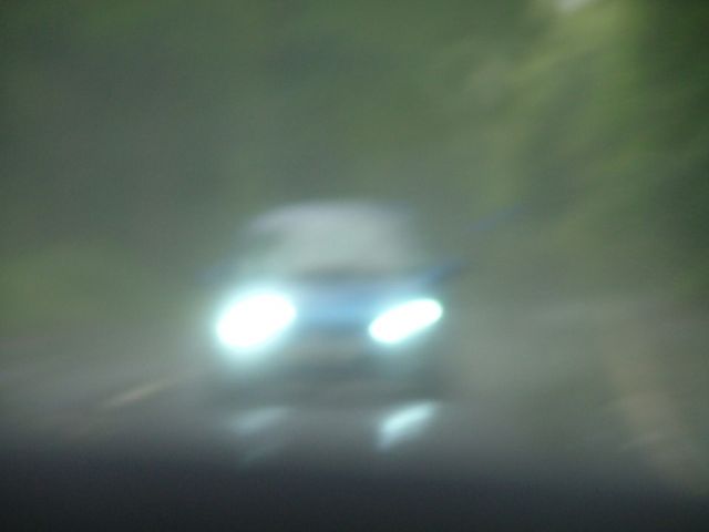 show n shine
