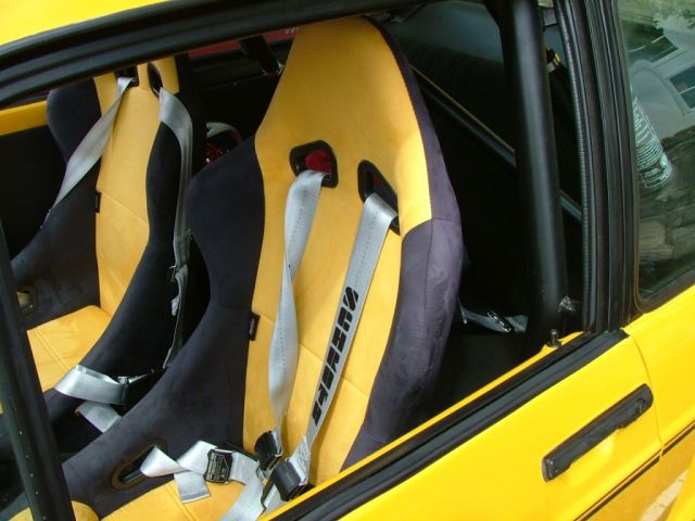 show n shine