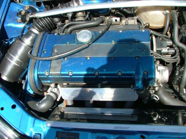 show n shine