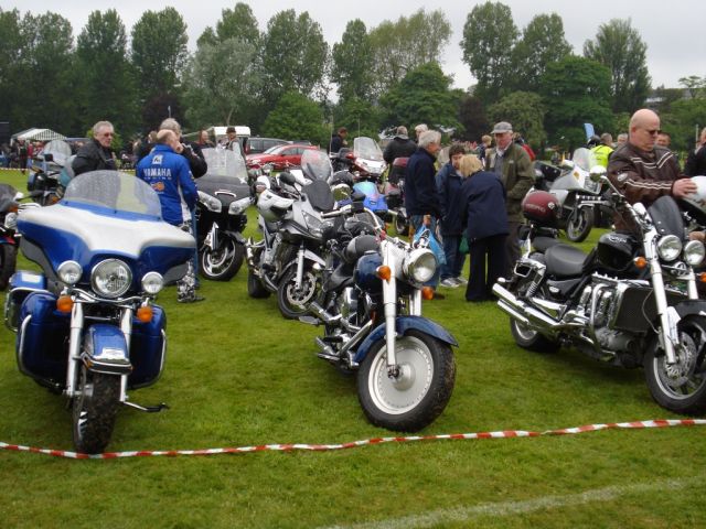 Elgin 2010