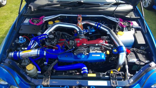 WP_20130505_027.jpg