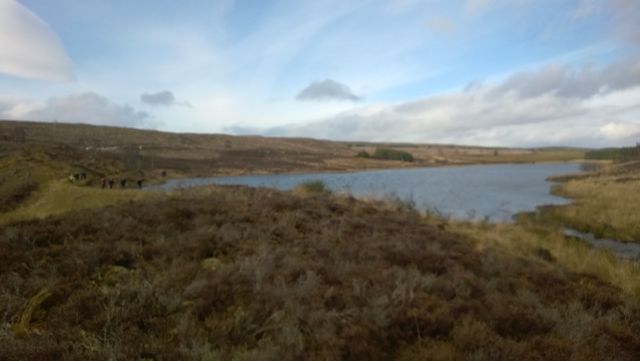 WP_20140222_034.jpg