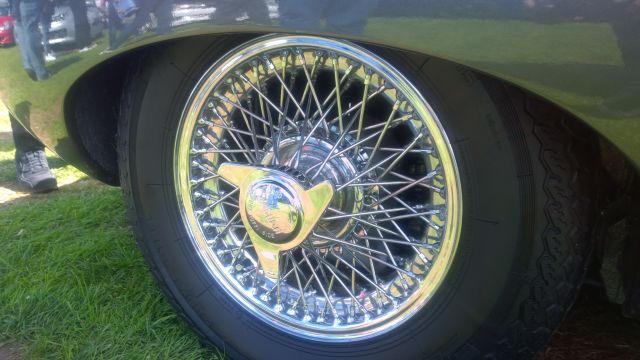 WP_20150719_071.jpg