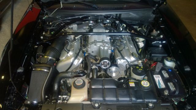 WP_20150719_173.jpg