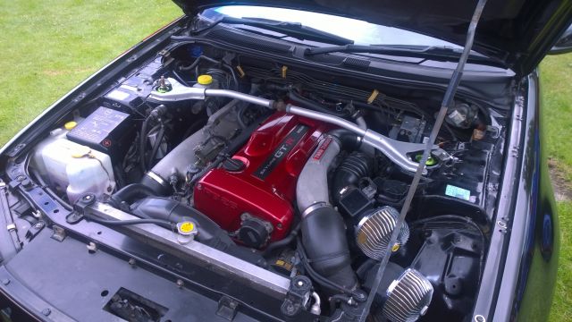 WP_20150719_038.jpg