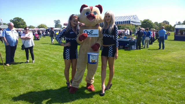 WP_20160605_052.jpg