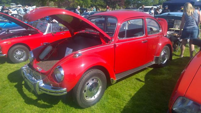 WP_20160605_126.jpg