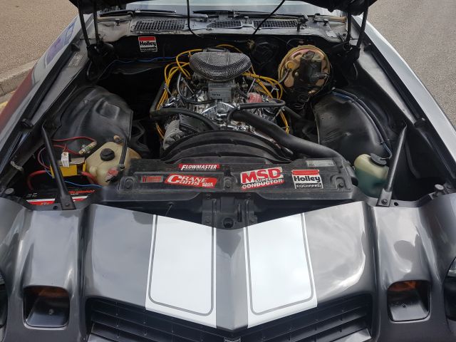 20170604_122553.jpg