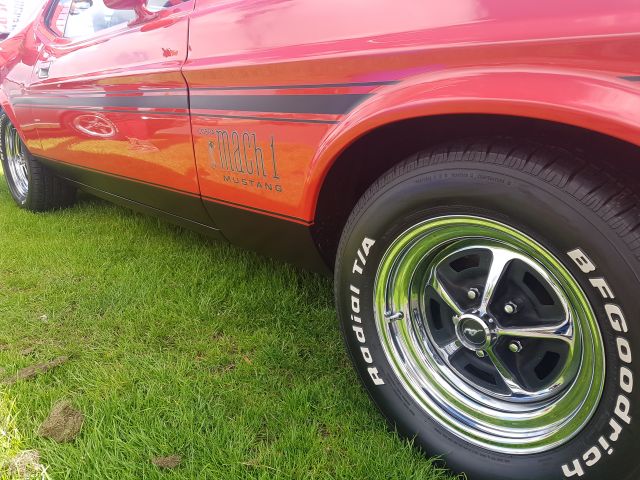 20170716_101805.jpg