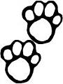 paws's Photo